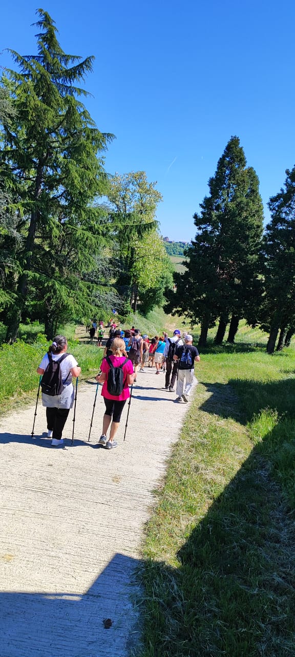 Un viaggio tra paesaggi e memoria: Camminare il Monferrato con Anna Maria Bruno