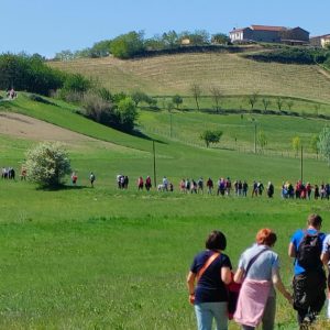 Camminare il Monferrato